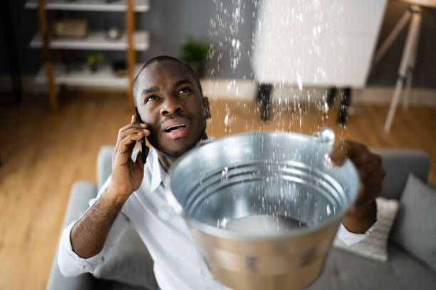 Best Water damage restoration near me  in Stirling, NJ