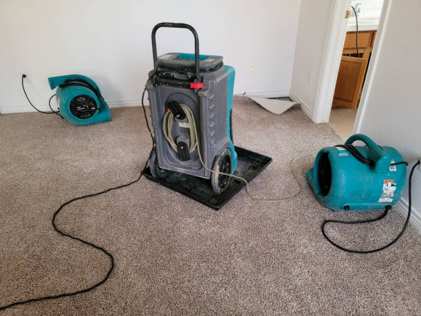  Stirling, NJ Water damage restoration Pros