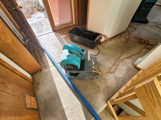 Best Water damage restoration specialists  in Stirling, NJ