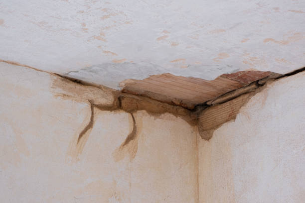 Best Basement water damage restoration  in Stirling, NJ