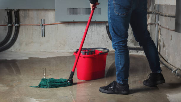 Best Flooded house restoration  in Stirling, NJ