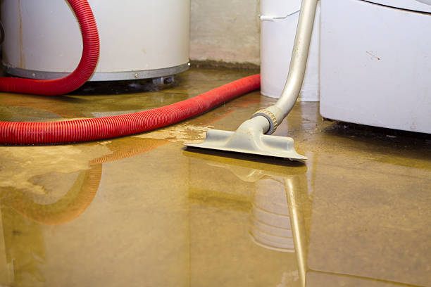  Stirling, NJ Water damage restoration Pros