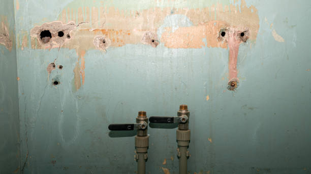 Best 24-hour water damage restoration  in Stirling, NJ