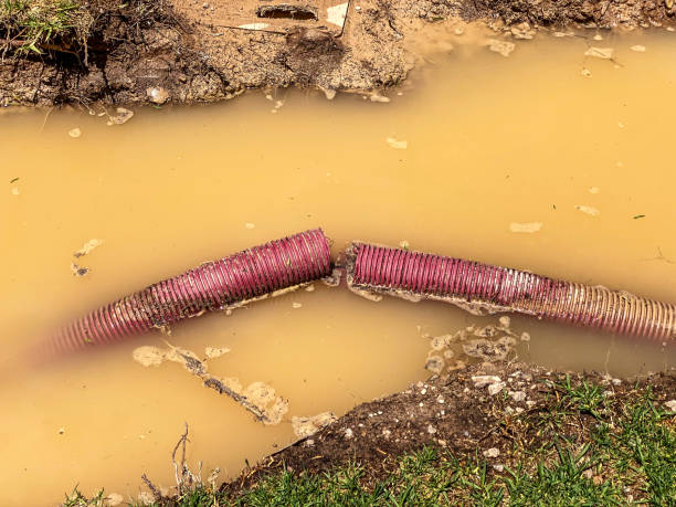 Best Carpet water damage restoration  in Stirling, NJ