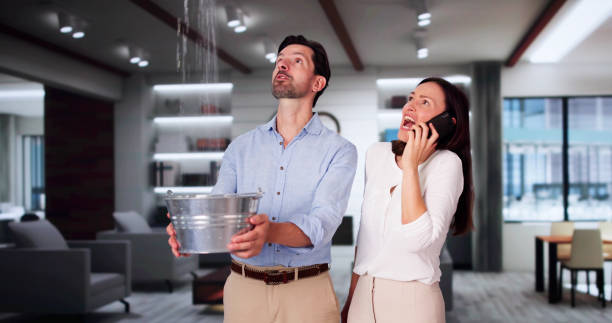 Best Residential water damage restoration  in Stirling, NJ