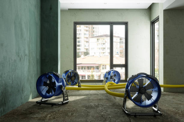 Best Sewage cleanup and water damage restoration  in Stirling, NJ